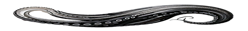 text separator image 